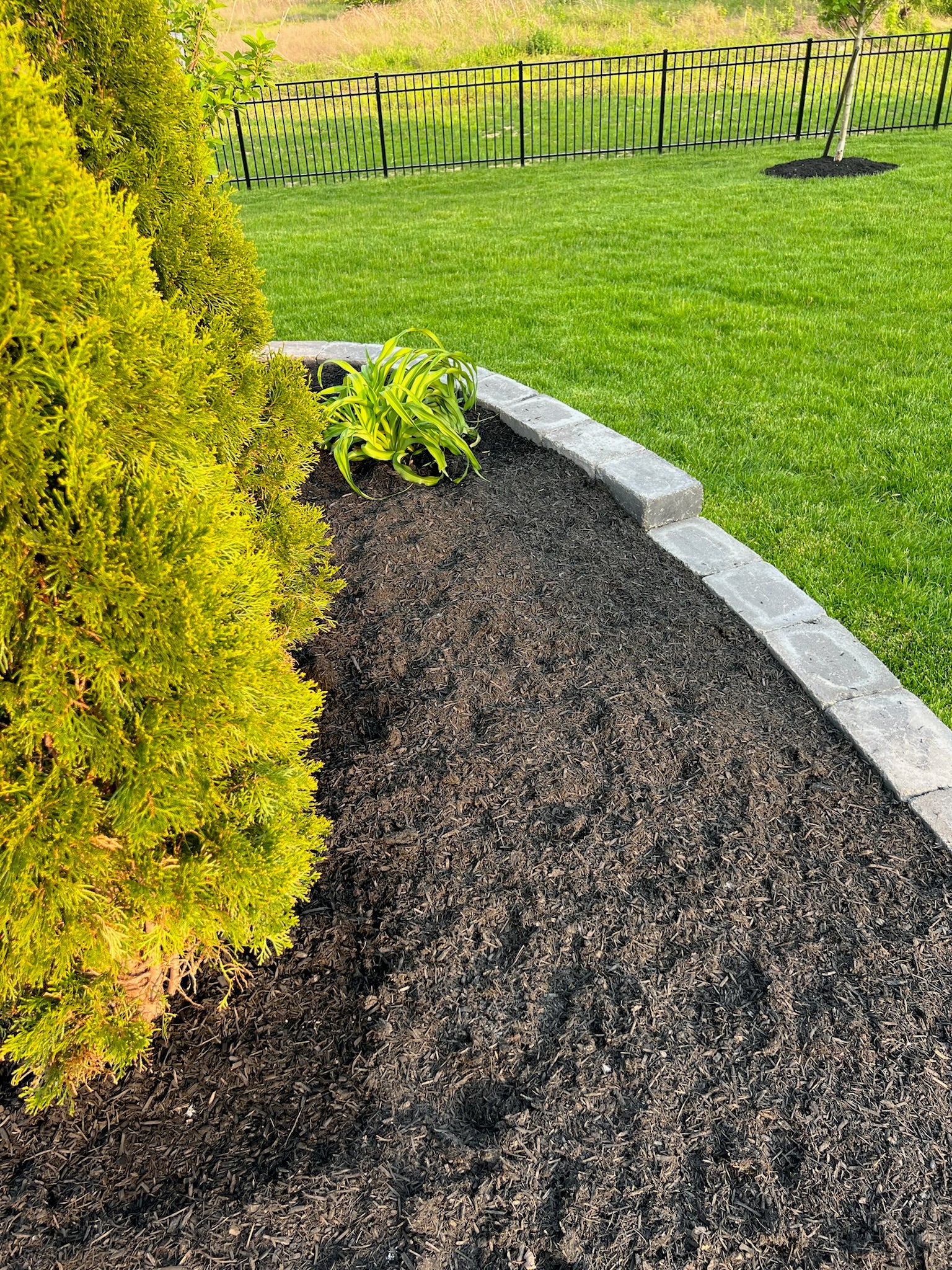 (1940) - Absolute Black Fine Bulk Mulch - 1 cubic yard - Image 6