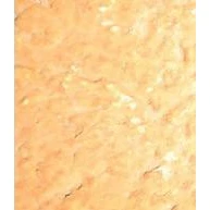 Rustic Buff Slabs #7208 Per Lb.