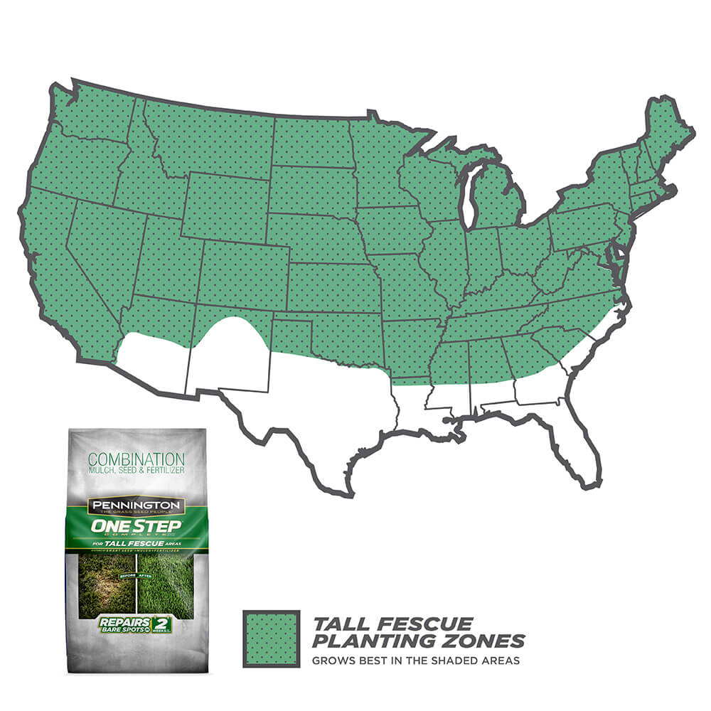 #6937 - Pennington 1 Step Tall Fescue 8.3lb - Image 2