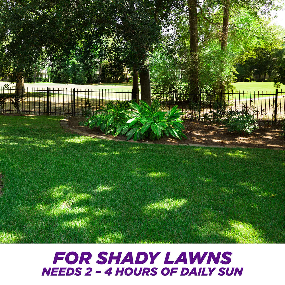 #6915 - Pennington Dense Shade Mix 3lb - Image 3