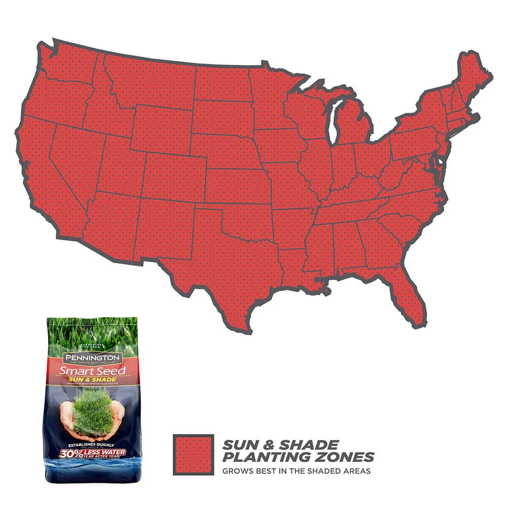 #6902 - Pennington Sun & Shade Mix 3lb - Image 2