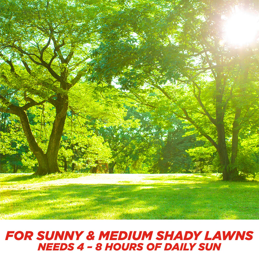 #6902 - Pennington Sun & Shade Mix 3lb - Image 3
